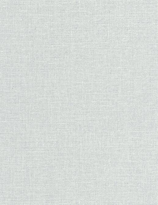 Обои Caselio Jute JTE104017459