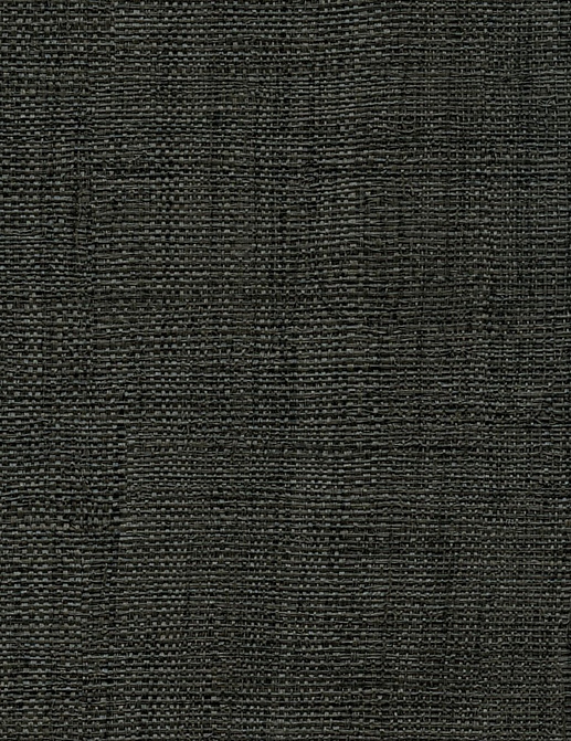 Обои Elitis Madagascar Arrowroot Raw Raffia VP73141