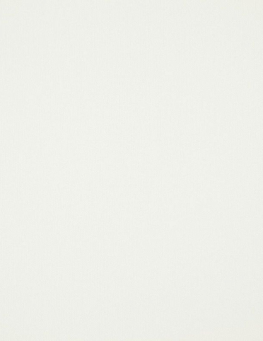 Ткань Daylight Canvas Canvas/Pearl