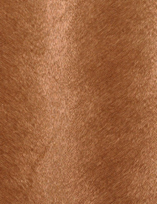 Обои Innovations Collection Caballo CAB-102 DUN