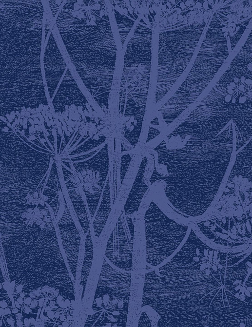 Ткань Cole & Son The Contemporary Collection F111/5016