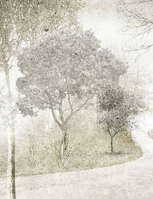 Панно и фотообои Skinwall Contemporary Collection 123
