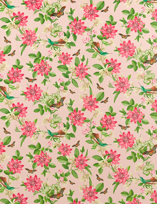Ткань Clarke & Clarke Botanical Wonders F1588/01