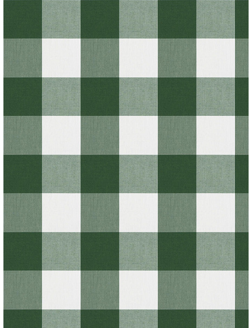 Ткань Fabricut Clean & Classic Indoor/Outdoor Checks & Stripes CampingCheck/Pine