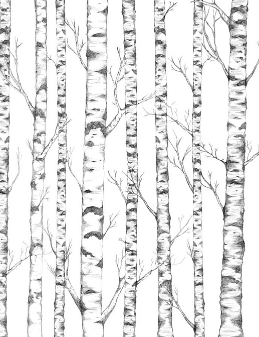 Панно и фотообои Mr Perswall Urban Nature P032401-5