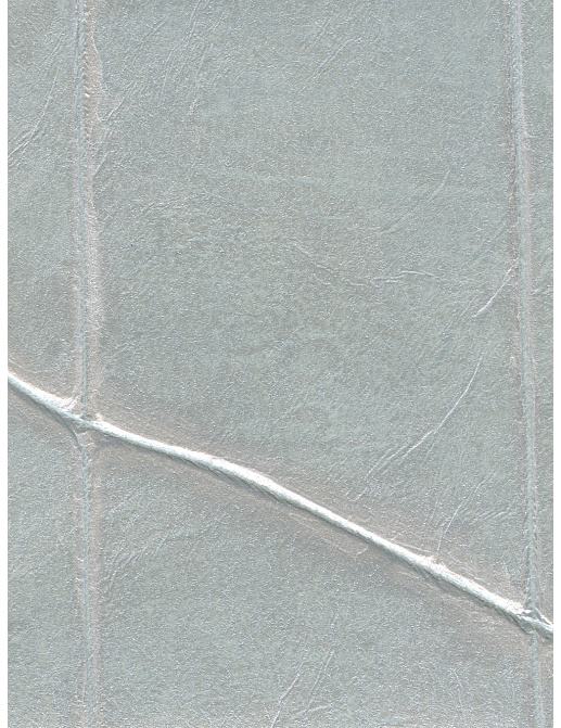 Обои Holland & Sherry Modern Legacy DEWP2234/Lithe Silver