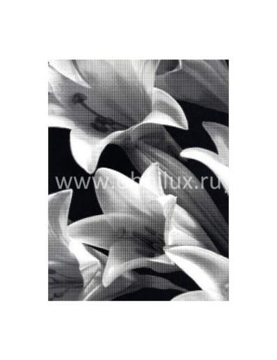 Обои Harlequin Identity 30730