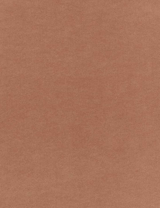 Обои Phillip Jeffries Tailored Walls 4436