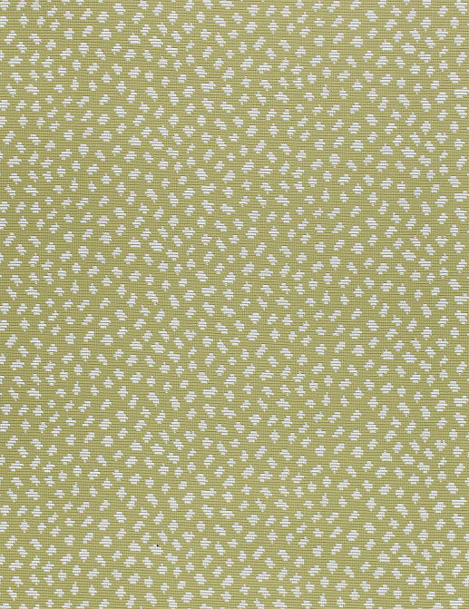 Ткань Thibaut Woven Resource vol.7 Companions W79626