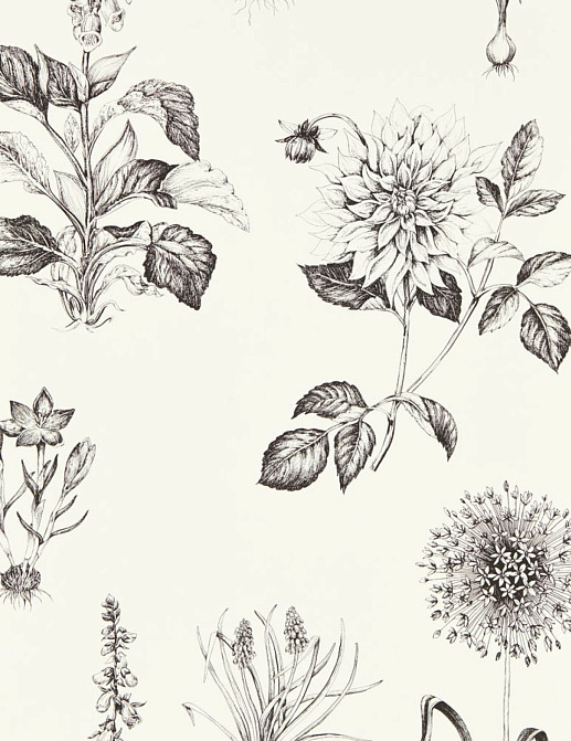 Обои Clarke & Clarke Secret Garden W0197/02
