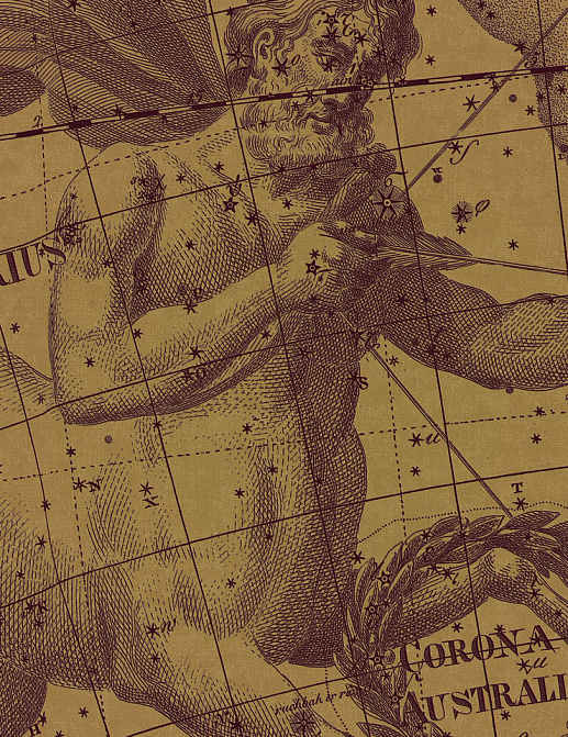 Панно и фотообои Italreflexes Macro Sagittarius-006/PureGold