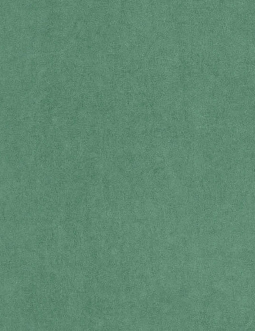 Обои Casadeco Mediterranee MEDI82387647