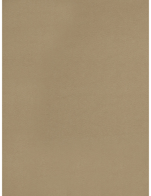 Ткань Trend Drapery dim out library 02891/Stucco