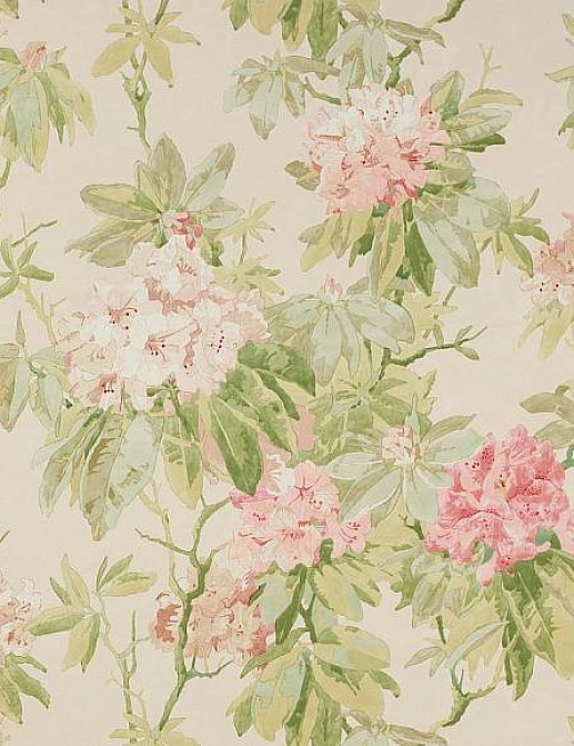 Обои Colefax and Fowler Jardine Florals W7006/02