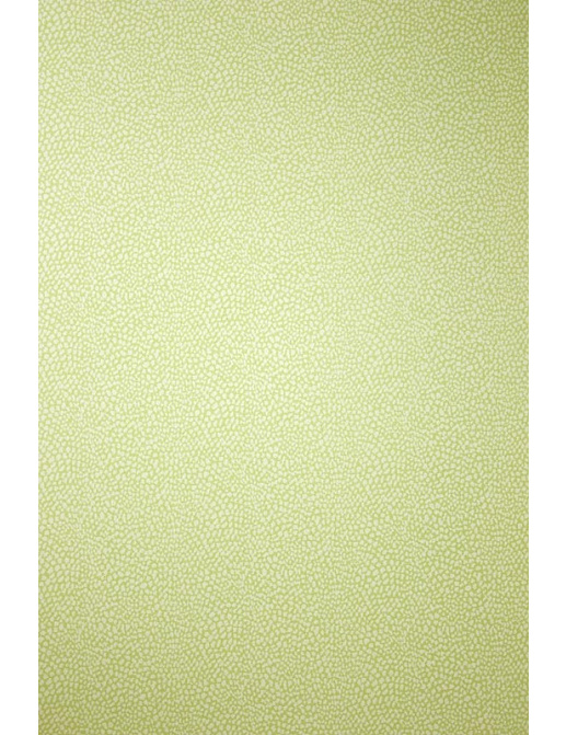 Обои Osborne & Little Wallpaper Album VII W6491-05