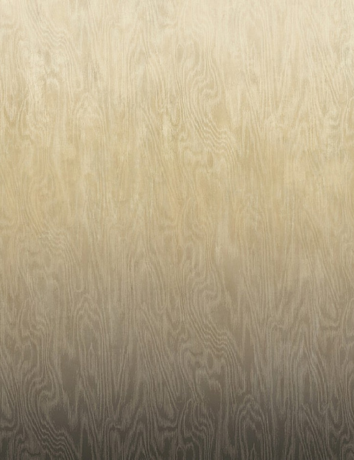 Обои Khroma Wall Designs IV DG4MOI1051-300