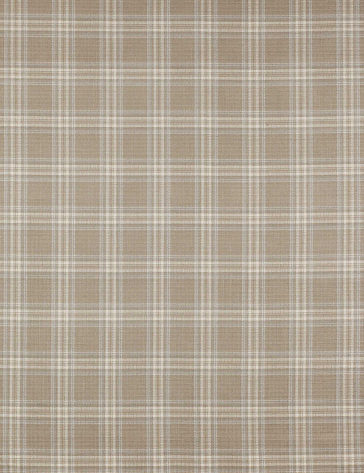 Ткань Colefax and Fowler Magnus Checks F4723/04