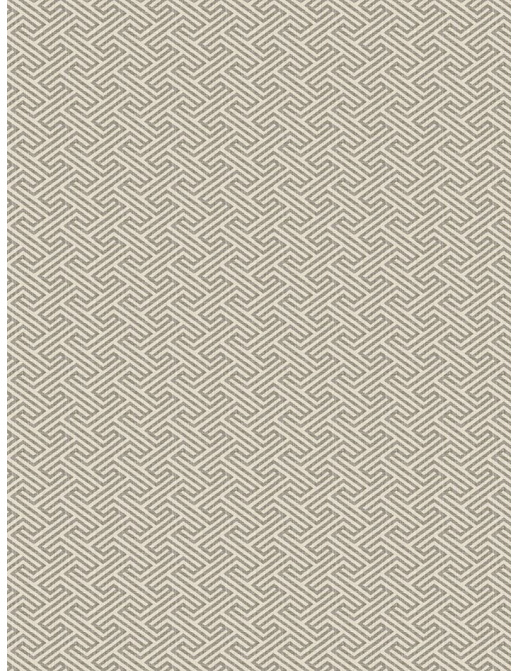 Ткань Fabricut Modern Nuances Grey Jarthur/Grey