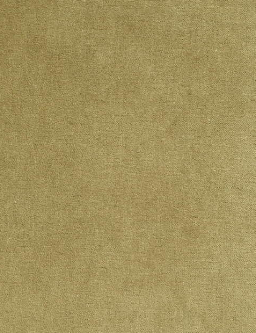 Ткань Bart Halpern Velveteen 18100-07