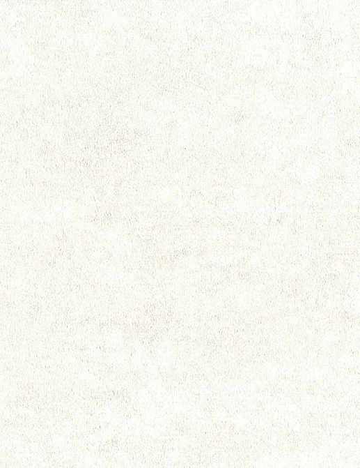 Обои Sirpi Alta Gamma Sempre 2 18536