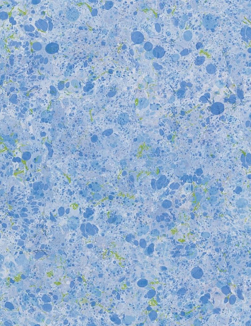 Обои Designers Guild Majolica PDG1025/01