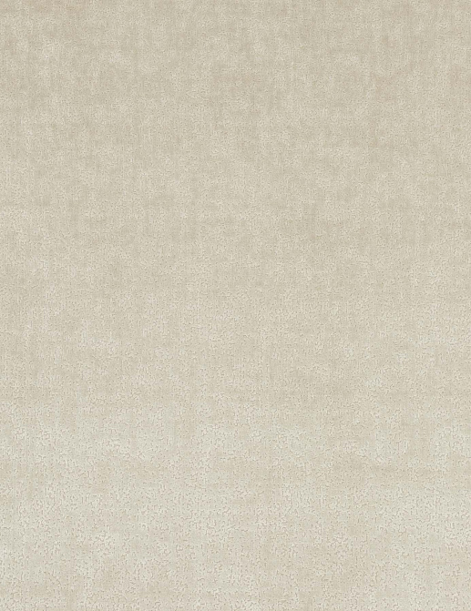 Ткань Baker Lifestyle Carnival Velvet PF50422/225