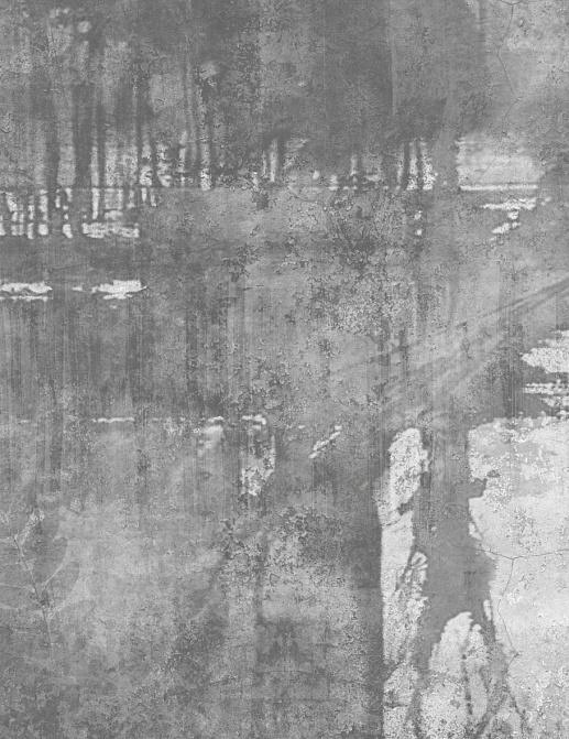 Панно и фотообои Glamora Creative Wallcovering GLEL124A