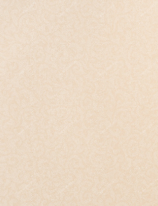 Обои Studio 465 Vegas LV70507