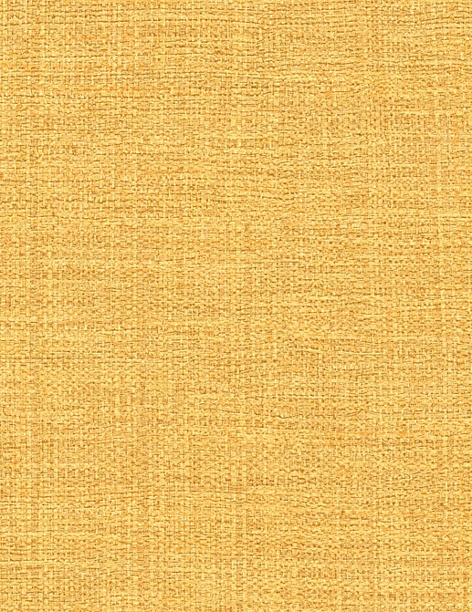 Обои Elitis Madagascar Arrowroot Raw Raffia VP73122
