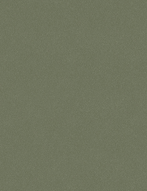 Обои Borastapeter Pigment 2023 7581
