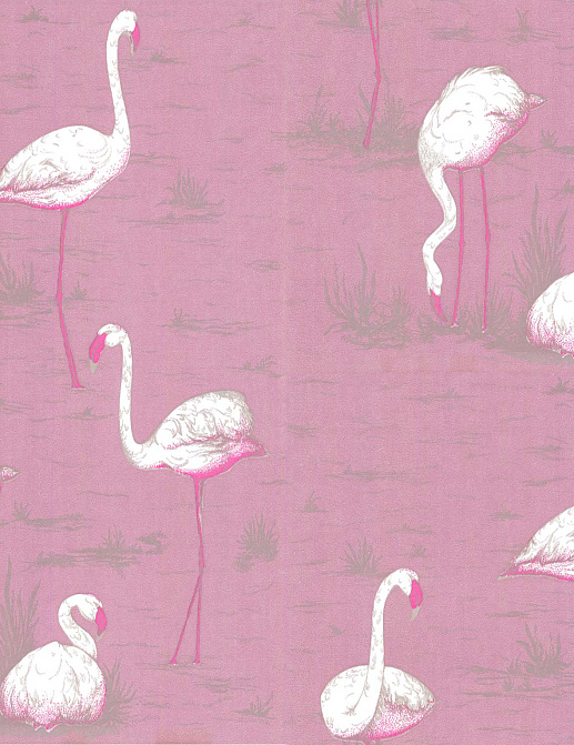 Обои Cole & Son New Contemporary 66/6043