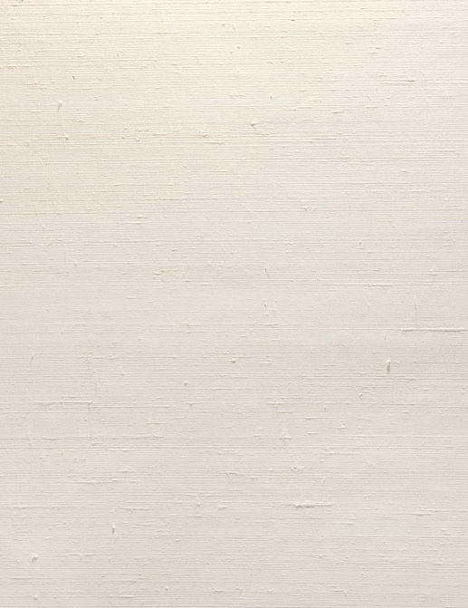 Обои Carl Robinson Edition 20 White Natural Textures CL50067