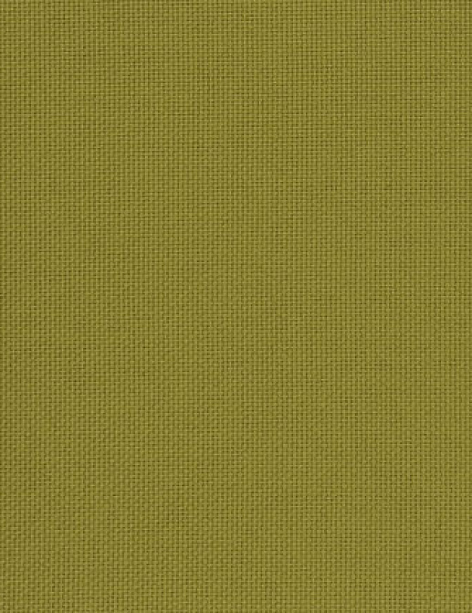 Ткань Designers Guild Molveno FT1864/13