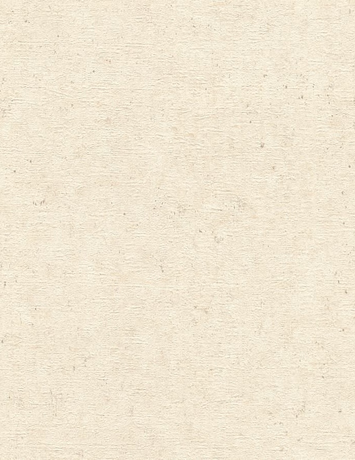Обои Rasch Настенные структуры. Том 4 / Wall Textures XL Vol. 4 974218