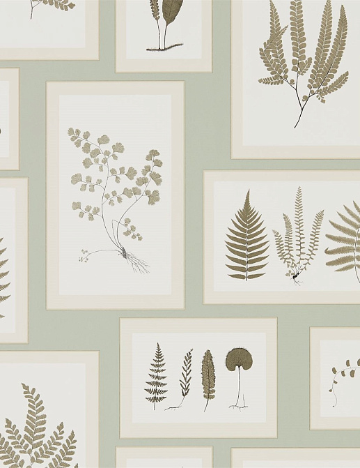 Обои Sanderson Woodland Walk 215715