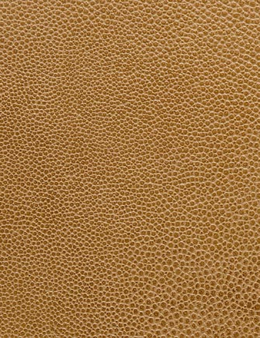 Ткань Holly Hunt Holly Hunt Leather 6000/26