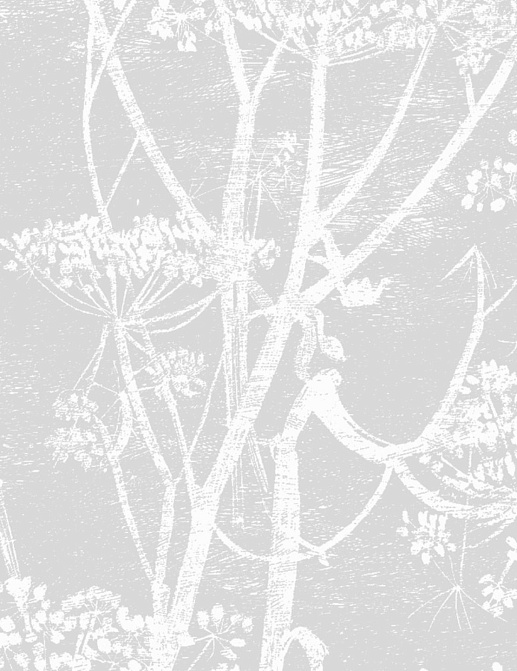 Ткань Cole & Son The Contemporary Collection F111/5021