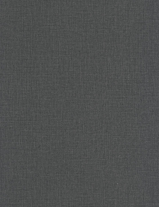 Обои Caselio Jute Essentiel JUT104019490