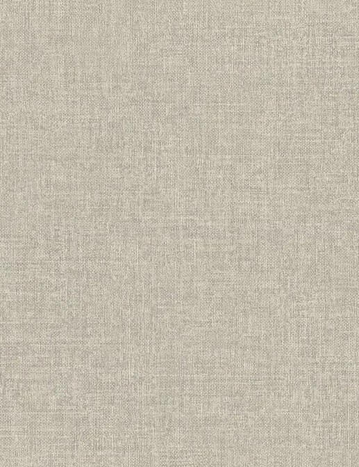Обои Rasch Настенные структуры. Том 4 / Wall Textures XL Vol. 4 970517