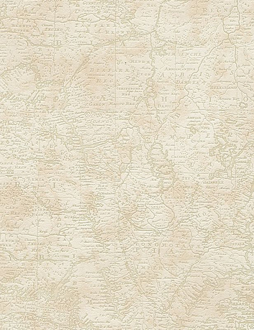Обои A. S. Creation Dekora Natur VI 9589-62
