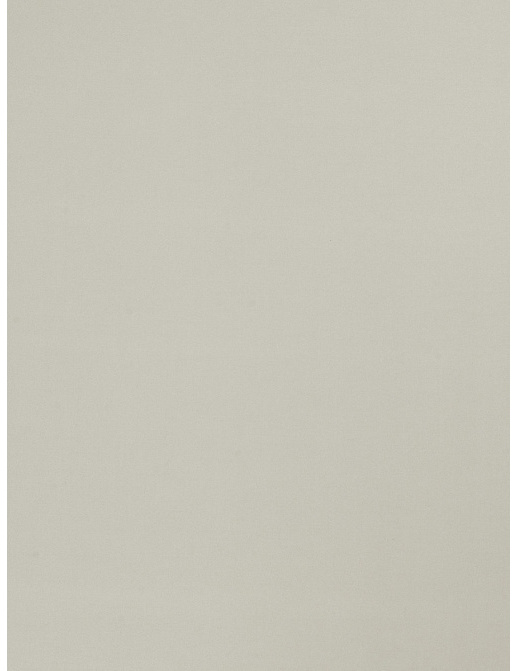Ткань Trend Multipurpose Sleek Satin Vol.II 02022/Haze