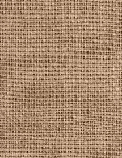 Обои Caselio Jute JTE104012112