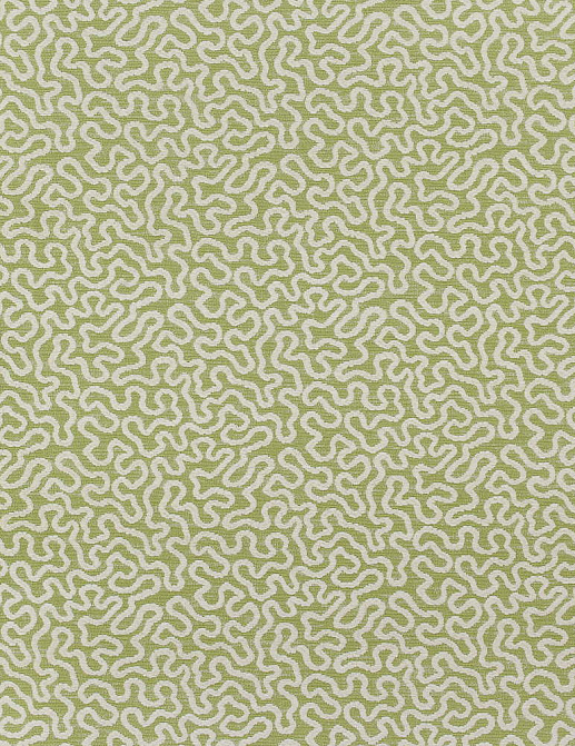 Ткань Thibaut Woven Resource vol.7 Companions W79655