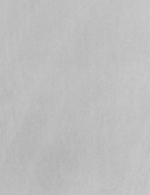 Обои Phillip Jeffries Tailored Walls 4037