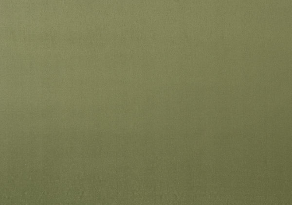 Ткань Designers Guild Santiago F1649/38