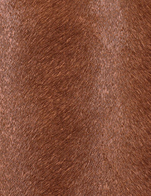 Обои Innovations Collection Caballo CAB-104 MORGAN
