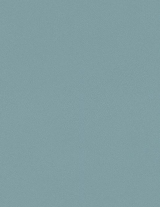 Обои Rasch Blue Velvet 610161