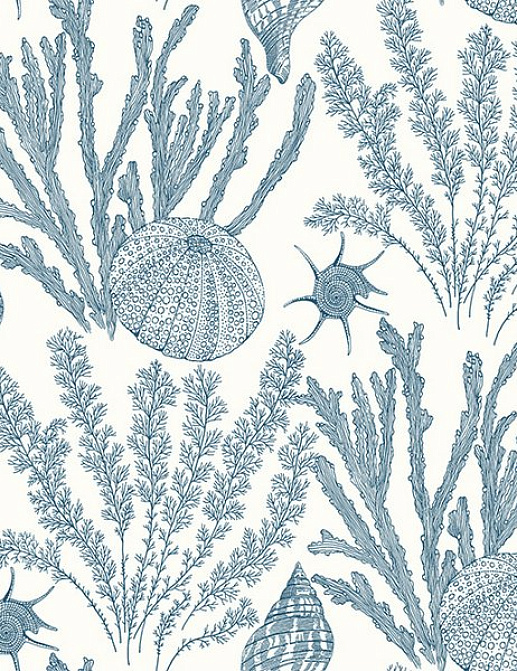 Обои Paper & Ink Coastal Chic CO11802