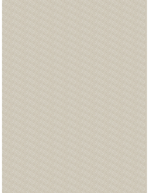 Ткань Fabricut Modern Nuances Neutral Snowpatrol/Fog