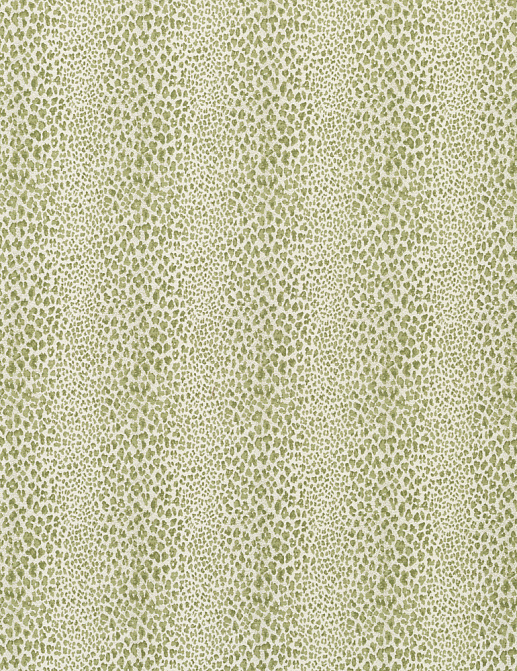 Ткань Nina Campbell Jacquet NCF4223/03
